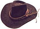 cowboy.jpg (3240 bytes)